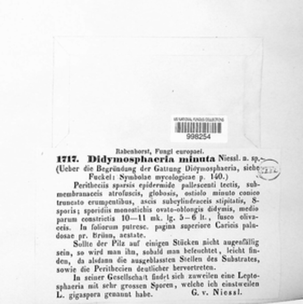 Didymosphaeria minuta image